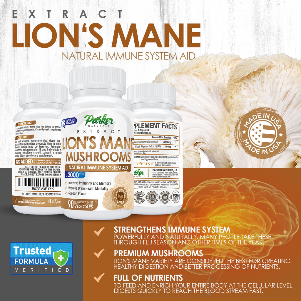 Lion's Mane Natural Mushroom Supplement
